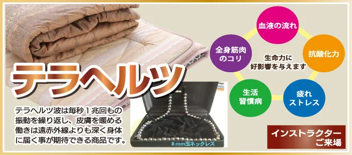 DMページ　テラヘルツ　着物たちばな松本店初市